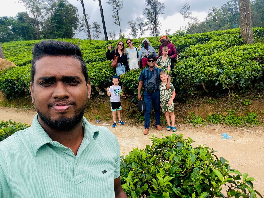 Authentic tea plucking experience with local workers in the Sri Lankan highlands.